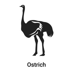 Ostrich icon vector sign and symbol isolated on white background, Ostrich logo concept