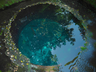 Shizuoka,Japan-June 3,2018: Kakitagawa Park in Shizuoka prefecture is famous for spring water coming from Mt. Fuji.