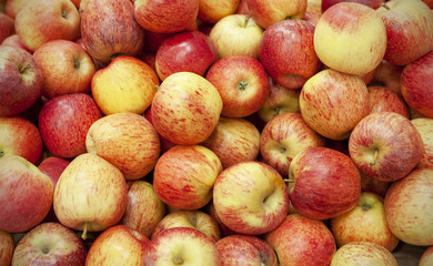 Fresh apples spread out an even layer as a background.