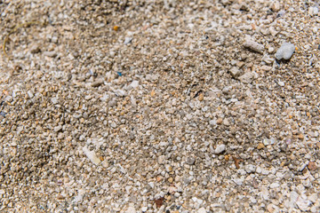 Nature background texture from gray sea pebbles