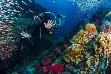 SCUBA diver swimming through tropical fish on a coral reef