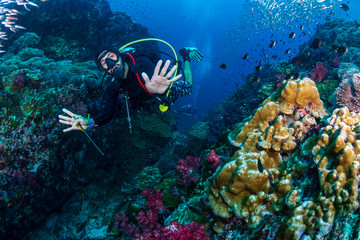 Naklejka na ściany i meble SCUBA diver swimming through tropical fish on a coral reef