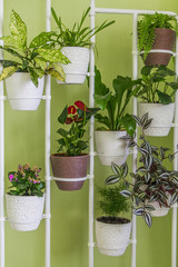 Potted flowers in pots on a vertical stand.