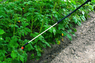 Spraying the garden