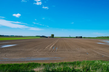 Feld vom Bauer