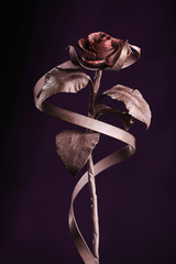 The pastel color rose with a tape  made of metal, on a dark-violet background.