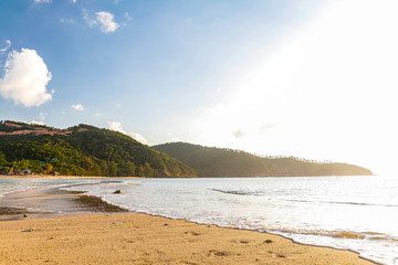 Sandy tropical beach during a sunny day with small waves and jungle forest and the background, Mae Haad Beach, Koh Phangan, Thailand