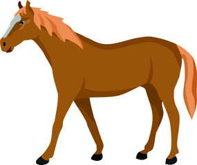 Brown Horse