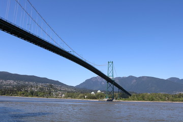 Amazing Stanley Park