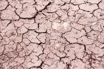 Cracked ground, path, dry soil. Ecology concept. Cracked earth texture and background. Dry field, water, land, sand. Above view of land during drought. Abstract surface, pattern, material, wallpaper.