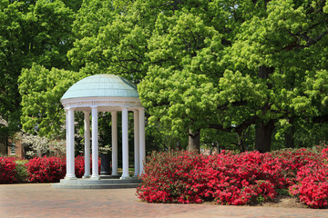 Fototapeta premium The Old Well w UNC Chapel Hill wiosną kwitnącą azalią