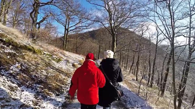Two women in winter outfit walking through forest of Harz in Germany