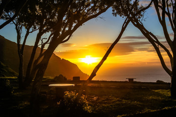 Arbres africains au coucher du soleil dans l& 39 aire de repos Lookout Point à Hout Bay depuis le célèbre et pittoresque Chapman& 39 s Peak Drive à Cape Town, Afrique du Sud.