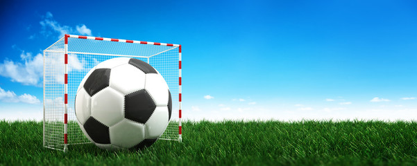 Panorama banner of a soccer ball in a goalpost. 3d Rendering