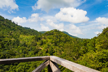 Fototapeta na wymiar View of a nearby tropical jungle from a wooden construction high above the tree level during a bright sunny day, Koh Samui, Thailand