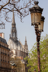 Fototapeta na wymiar Notre Dame Lamp Post