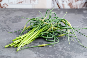 Bunch of young green garlic arrows on grey concrete background. Close-up view