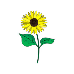 Sunflower with green leaves in flat style