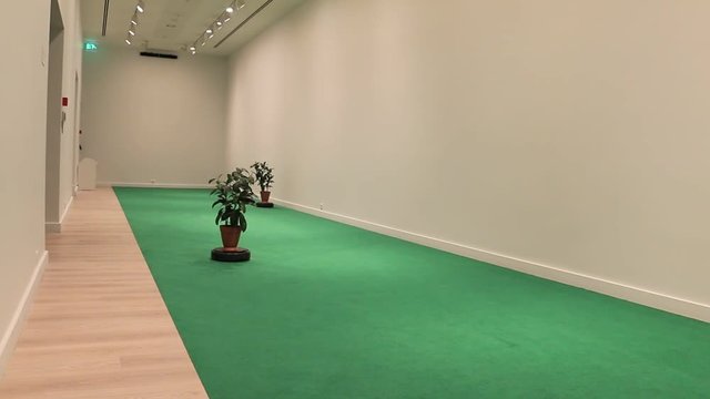 funny potted plants to riding in the room
