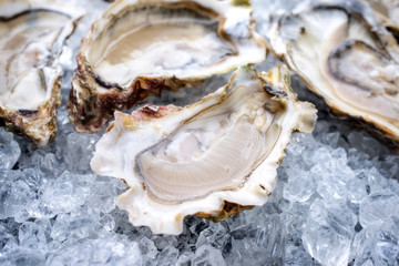 Fresh opened oyster offered as top view on crushed ice