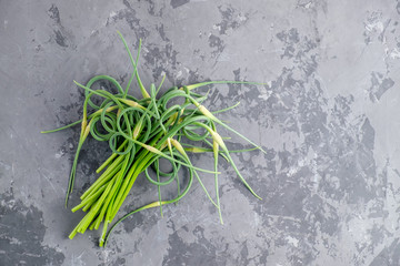 Bunch of young green garlic arrows on grey concrete background. Top view
