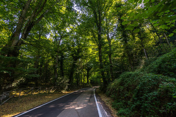 Umbra Forest is a natural reserve part of Gargano National Park and UNESCO World Heritage Site,...