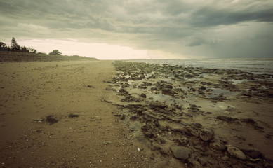 Sandy path in the mediterranean sea with cloudy sky, with pebbles, seaweed on the shore and fir in the background