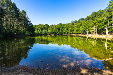 A picturesque small lake in Umbra Forest, a natural reserve part of Gargano National Park and UNESCO World Heritage Site, Apulia, Italy