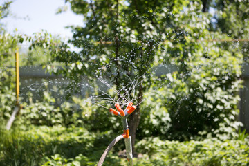 Automatic sprinkler system, watering the lawn against the background of green grass. Close-up