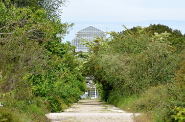 Footpath towards a glass building surrounded by green trees