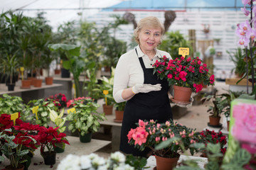 Woman gardener is taking care of flowers near plants