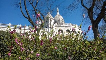 Paris, Sacre Coeur, Himmel, blau, Blumen, Kirche, cathedral