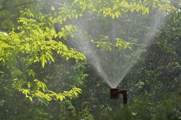 Sprinkler system watering a plant during sunny warm weather