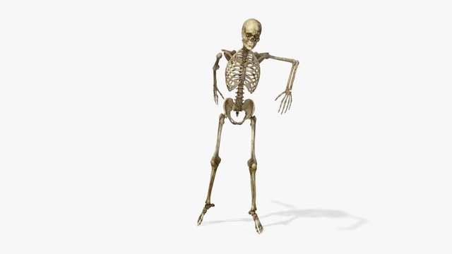 skeleton dance , loop,animation,transparent background