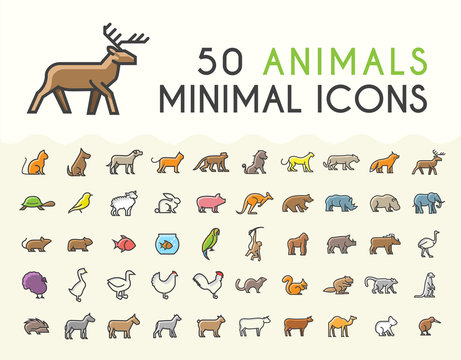 Set of 50 Minimalistic Solid Line Coloured Animal Icons . Isolated Vector Elements