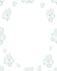 Circle Frame Background with Decorated Borders