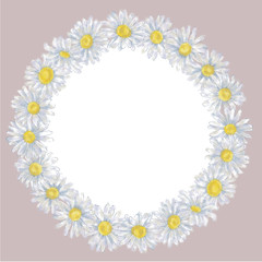 Daisy Round Wreath on Pink Background with Text Copy Space Isolated on White. Chamomile Round Frame for Announcements, Advertising, Invitations, Cards, and Promotional Materials. Romantic Frame.