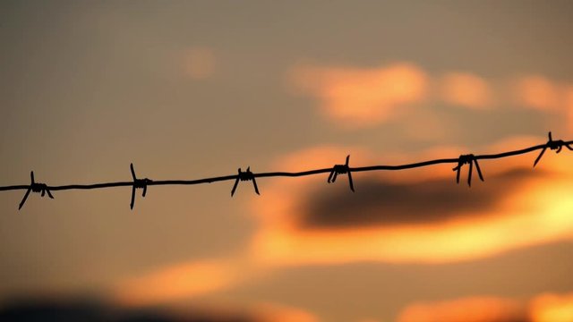 Barbed wire fence with Twilight sky to feel Silent and lonely and want freedom. Barbed wire steel wall against the immigration in Europe.