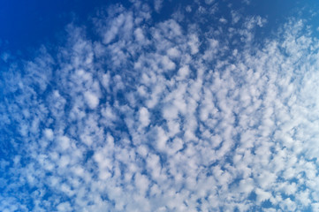 Fototapeta na wymiar Light cumulus clouds in the sky of a saturated blue color.