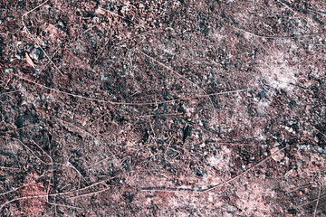 Traces of a fire with ashes and remnants of wire, nails, small stones.