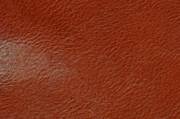 Natural leather background
