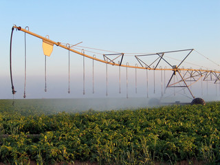 Sprinkling unit waters plants