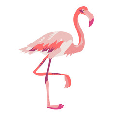 Pink flamingo vector illustration