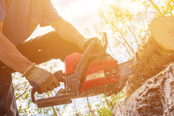 A man sawing up a log with a red chainsaw on a hot summer day, sawdust flying