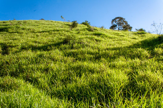 Pasto Santa Maria de Itabira 