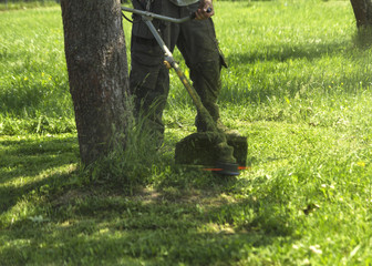 The man mowing green wild grass field using brush cutter mower or power tool string lawn trimmer. To mow a grass with the trimmer. Trimer mows a lawn. Care of a lawn.