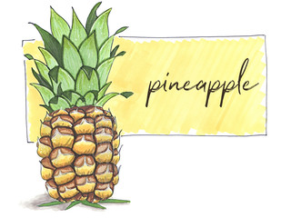 pineapple hand-drawn illustration on yellow background