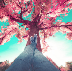 low wide angle of a person resting their feet on a tree trunk toned with a retro vintage filter