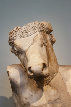 Closeup of marble head of Minotaur bull head on human body from Greek mythology with crack through face and horns broken off