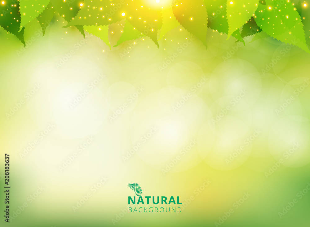 Canvas Prints spring summer natural green background with leaves and lighting effect.